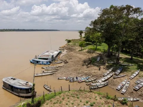 Không phải vàng hay dầu, nền kinh tế trên 200 triệu dân săn lùng ‘kho báu’ trải dài 400 km sâu dưới rừng nhằm dắt lưng 'vũ khí' giữa thương chiến, Trung Quốc ngỏ ý tham gia