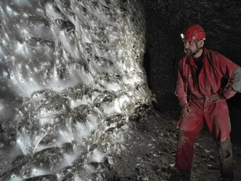 Hơn 111.000 con nhện, 106 mét vuông mạng chăng kín ẩn giấu bí mật về hệ sinh thái độc hại nhưng cân bằng