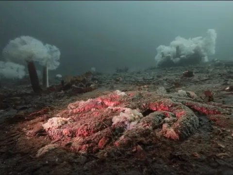 Tiếng nổ như đại bác vang lên liên tục từ lòng hồ suốt hàng trăm năm: Đáp án khiến giới khoa học sững sờ