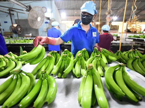 Hướng tới tương lai xanh, thịnh vượng