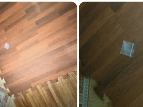 Bảo vệ trường tiểu học ở Hải Phòng tổ chức ‘bay lắc’ ngay nơi làm việc