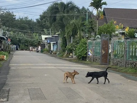 Nam thanh niên không uống được nước, không chịu được tiếng ồn và tử vong sau 20 ngày bị chó cắn