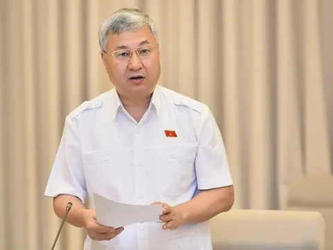 Đại biểu Quốc hội: Áp thuế 1-5% trên doanh thu là 'hết cả lãi' của người kinh doanh nhỏ lẻ