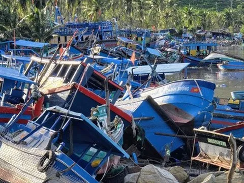 Thủ phủ tôm hùm "bay" hơn 20 tỉ đồng chỉ 1 đêm bão số 13