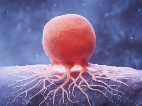 Tìm ra loại thuốc đầu tiên chống được "RNA bất tử" của ung thư