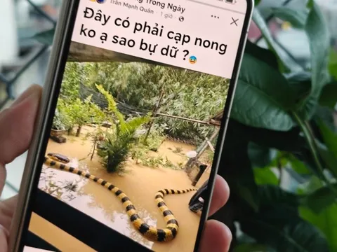 Từ hình ảnh, video đến ca khúc AI: Cẩn trọng 'cơn lốc' nội dung AI trên mạng xã hội