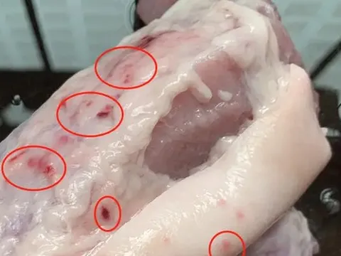 4 loại thịt đáng lẽ phải BỊ CẤM từ lâu, vậy mà nhiều người vẫn ăn