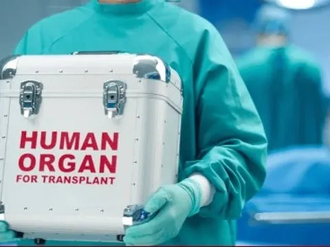 Bác sỹ tắc trách, bệnh nhân suýt bị mổ lấy tạng hiến ngay khi còn sống