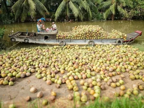 Đặc sản triệu đô của Việt Nam bất ngờ lao dốc cực mạnh: Vì sao nên nỗi?