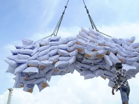 Tin tức sáng 12-11: 10 tháng xuất siêu hơn 19,5 tỉ USD; Số ca ngộ độc bánh mì ở TP.HCM lên gần 300