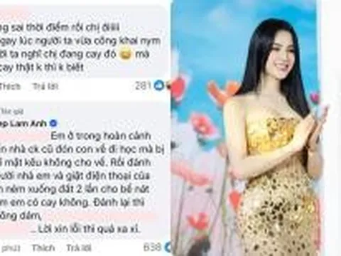 Bị nói 'cay cú' vì chồng cũ hẹn hò Á hậu, Diệp Lâm Anh mắng thẳng