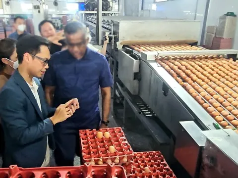 Vụ Công ty Ba Huân nợ thuế hơn 51 tỉ đồng: Bất ngờ từ người trong cuộc