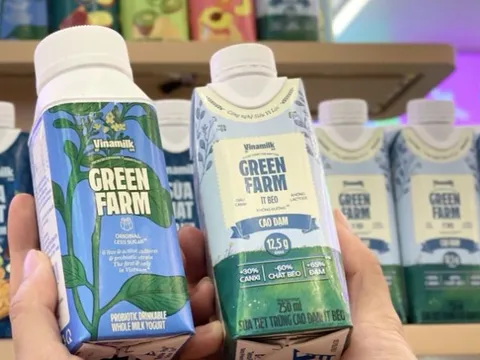 'Cá mập' Thái, Nhật chi tiền khủng mua cổ phần doanh nghiệp Việt: Lời lỗ ra sao?