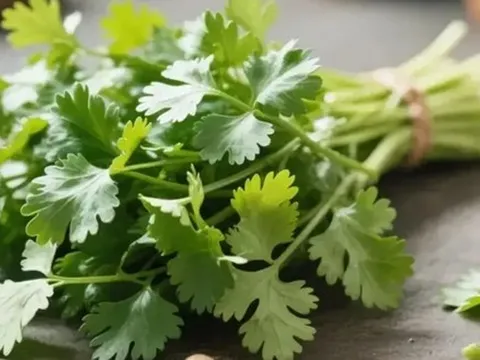 Người ăn rau mùi thường xuyên, trong thời gian ngắn, cơ thể có thể xuất hiện 5 thay đổi