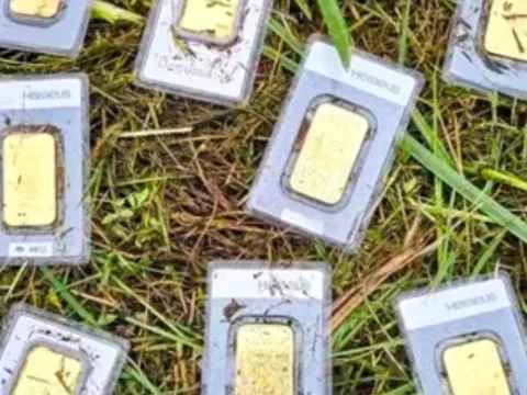 Phát hiện 10 thỏi vàng khi đang cắt cỏ, trị giá lên đến hơn 1 tỷ đồng