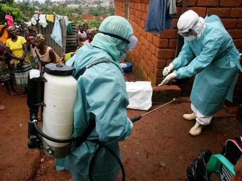 Một quốc gia xác nhận virus gây tỷ lệ tử vong đến 80% lại bùng phát