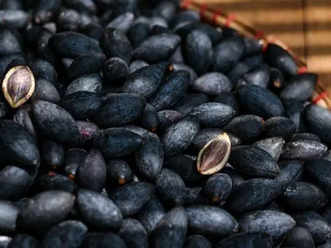 Loại quả "đen như than, đắt như thịt" nhưng nườm nượp người mua, bán đầy rẫy ở chợ Việt