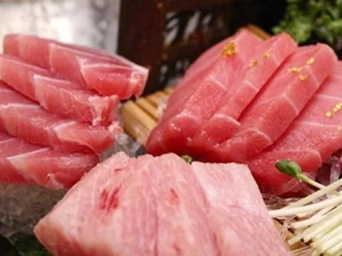 Thường ăn 3 loại cá chứa kim loại nặng này dễ tổn hại não, bác sĩ cảnh báo