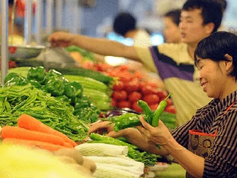 Chị bán rau ở chợ đầu mối chia sẻ: 4 loại rau tăng sốc nhất tháng này – và 4 món rẻ bằng một nửa để thay thế ngay