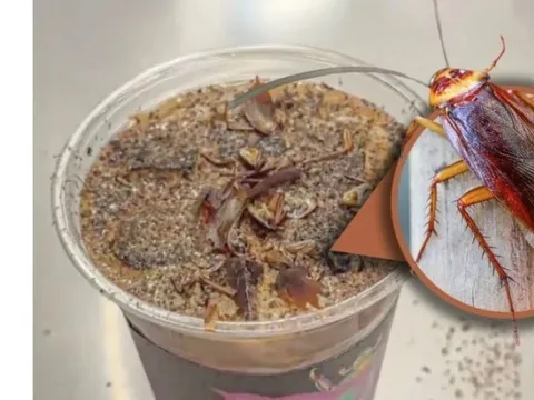 Cà phê gián gây sốc ở Trung Quốc