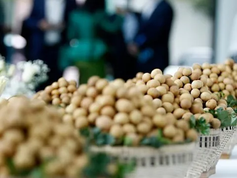 Đặc sản triệu đô của Việt Nam được Trung Quốc siêu mê, mệnh danh là 'vương giả chi quả', diện tích trồng hơn 68.000 ha