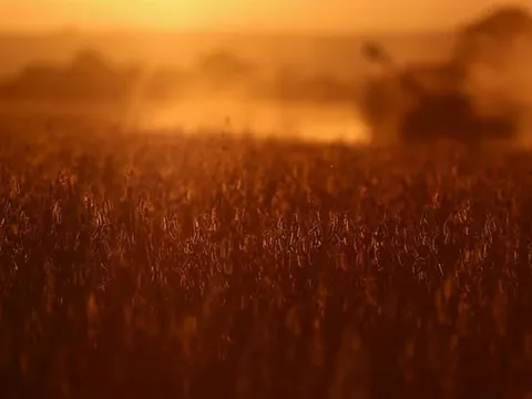 2 tháng liền Trung Quốc không mua dù chỉ 1 hạt mặt hàng then chốt của Mỹ, nông dân trông chờ gì vào tương lai?