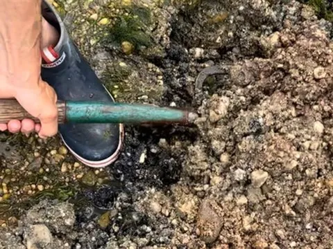 Đi đào giun, người đàn ông phát hiện kho báu vô giá nặng 6kg