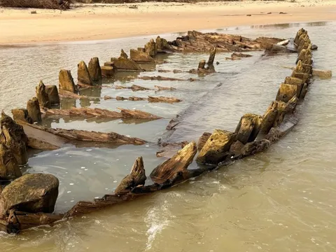 Chuyên gia khảo cổ học tiết lộ bí mật con tàu cổ ở Hội An, Đà Nẵng muốn trục vớt trước tháng 12