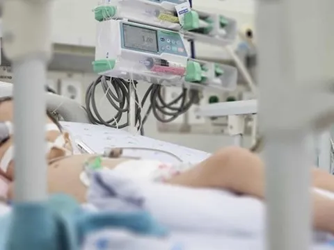 Viện Pastuer TP HCM cảnh báo một dịch bệnh nguy hiểm đang bùng phát