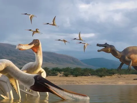 Loài quái vật bay chưa từng biết "trỗi dậy" từ bụng khủng long