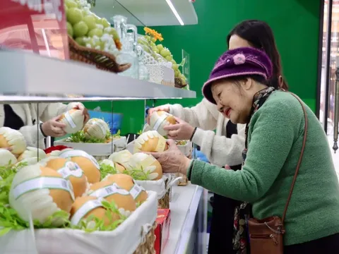 Từ nho sữa, lê Hàn Quốc đến máy ảnh Canon, xe máy Honda đều có hàng giả