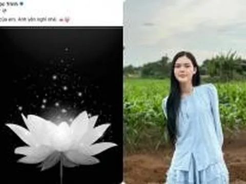 Sao Việt gửi lời động viên khi diễn viên Ngọc Trinh báo tin bạn trai cũ qua đời