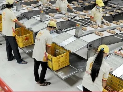 Nợ thuế, Bảo hiểm xã hội gần 58 tỷ, Ba Huân có tác động đến bình ổn thị trường?