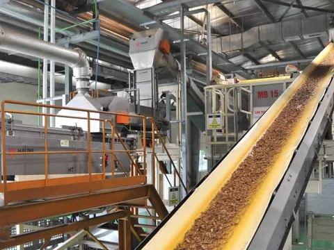 Vinataba sắp thu bộn tiền nhờ thoái vốn tại loạt doanh nghiệp bia, mì tôm, bánh kẹo nổi tiếng