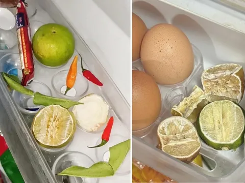 Trung bình cửa tủ lạnh của các gia đình Việt Nam đều có 1 thứ: Hóa ra có tác dụng bất ngờ