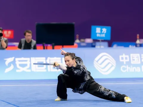 Dương Thúy Vi là ai?