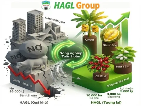 Từ bán nhà cũng phải trồng cao su, mất ngủ vì heo ăn chuối, bầu Đức sắp xoay trục sang sản phẩm chủ lực mới?