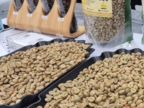 Giá cà phê hôm nay 26-12: Trong nước tăng nóng, Trung Quốc bất ngờ nhập nhiều