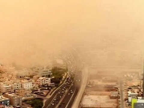 Thành phố nóng nhất thế giới, nơi cá bị luộc chín, chim chết hàng loạt