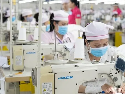 Công ty Panko Vina ngưng hoạt động: Chiều nay, đoàn liên ngành làm việc với doanh nghiệp