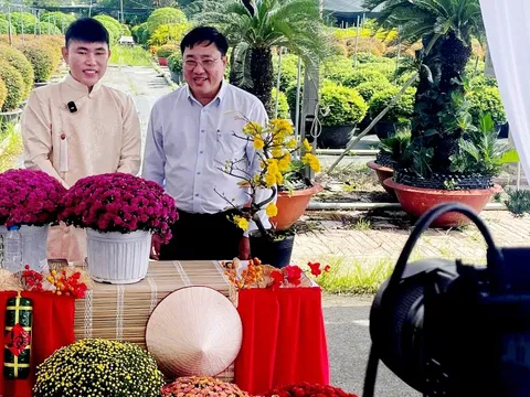 Vựa hoa, nhà vườn miền Tây tất bật livestream bán hoa Tết sớm cùng người nổi tiếng