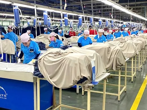 2.640 công nhân Công ty Panko Vina sắp mất việc sẽ được giới thiệu việc làm mới