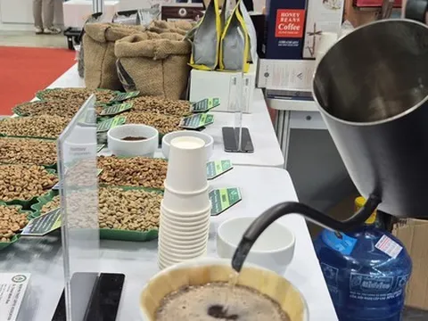 Giá cà phê hôm nay 31-12: Robusta tăng phiên thứ 5