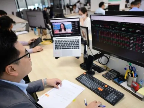 Những quỹ lớn nào đang dẫn đầu hiệu quả đầu tư năm 2025?