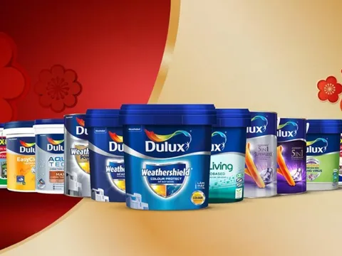 AkzoNobel tăng cường hoạt động chống sơn giả