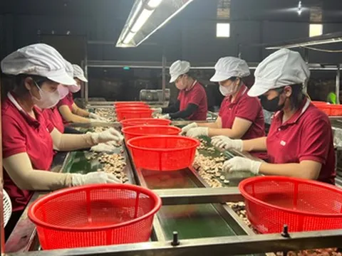 Tăng sức cạnh tranh cho doanh nghiệp Việt