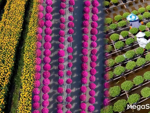 Hoa kiểng Sa Đéc: Giữ gốc rễ - mở lối tương lai