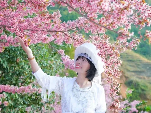 Đổ xô du lịch Sa Pa, Mù Cang Chải