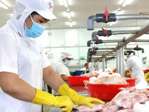 Mức thưởng Tết nguyên đán ở Hà Nội cao nhất hơn 600 triệu đồng